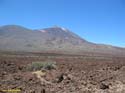 EL TEIDE (194) 2007