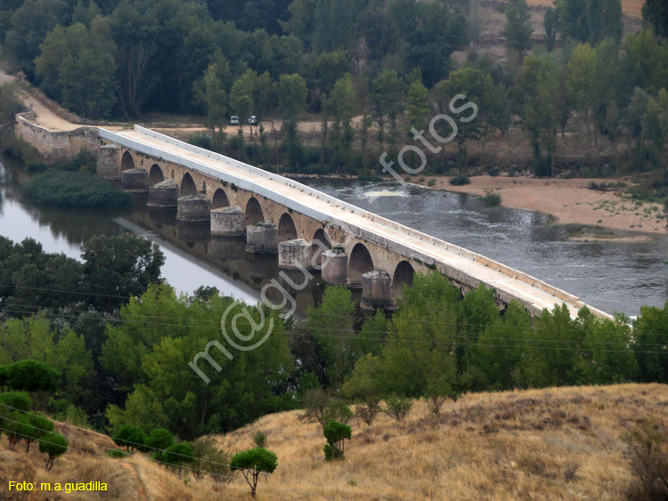 TORO (254) Puente de Piedra o Mayor