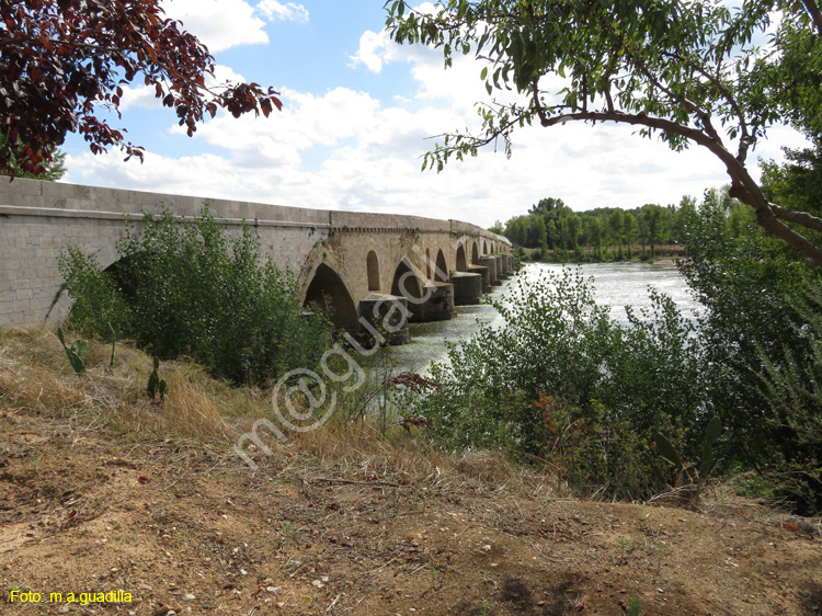 TORO (257) Puente de Piedra o Mayor
