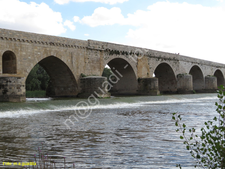 TORO (262) Puente de Piedra o Mayor