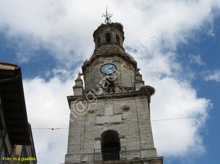 TORO (428) Torre del Reloj 