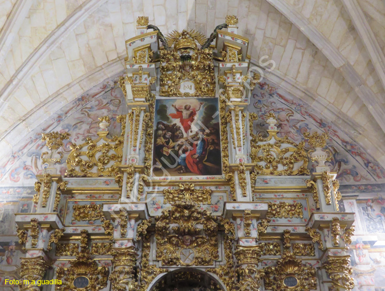 TORO (497) Iglesia de San Sebastian de los Caballeros