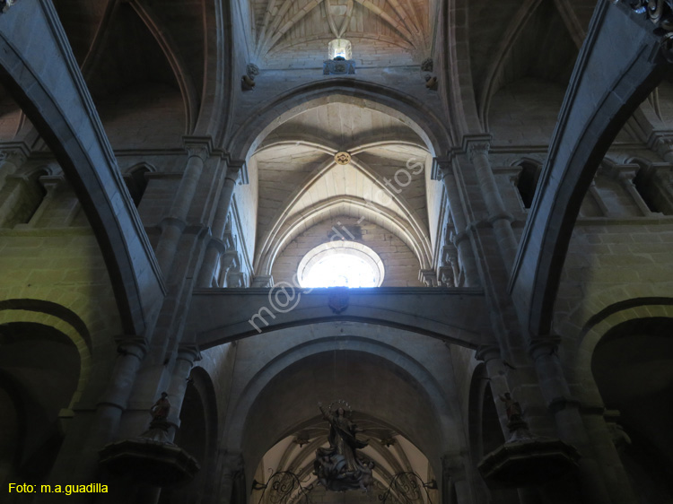 TUY (151) Catedral