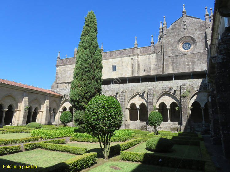 TUY (184) Catedral