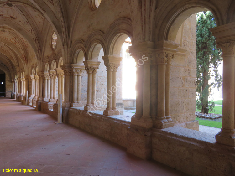 VALBUENA DE DUERO (160) Monasterio de Santa Maria