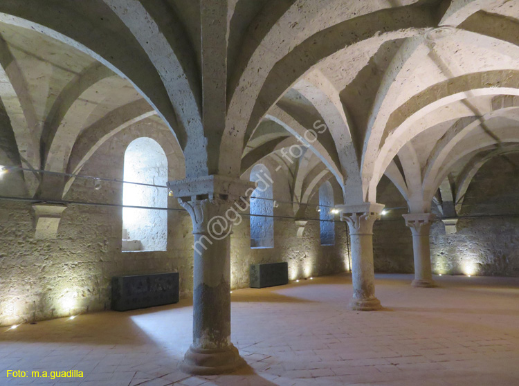 VALBUENA DE DUERO (163) Monasterio de Santa Maria