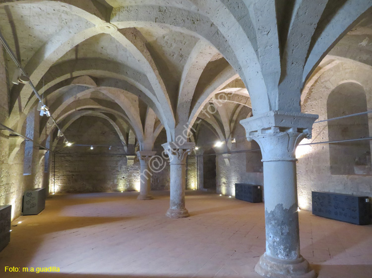 VALBUENA DE DUERO (167) Monasterio de Santa Maria