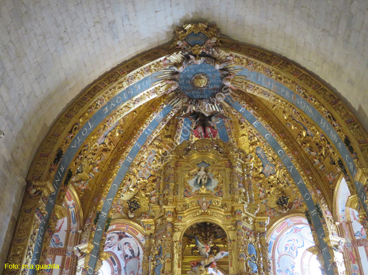 VALBUENA DE DUERO (201) Monasterio de Santa Maria