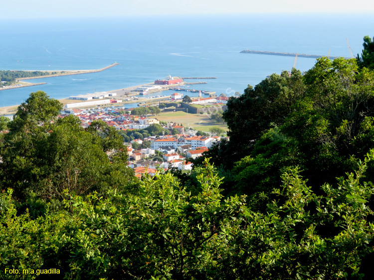 VIANA DO CASTELO (254)