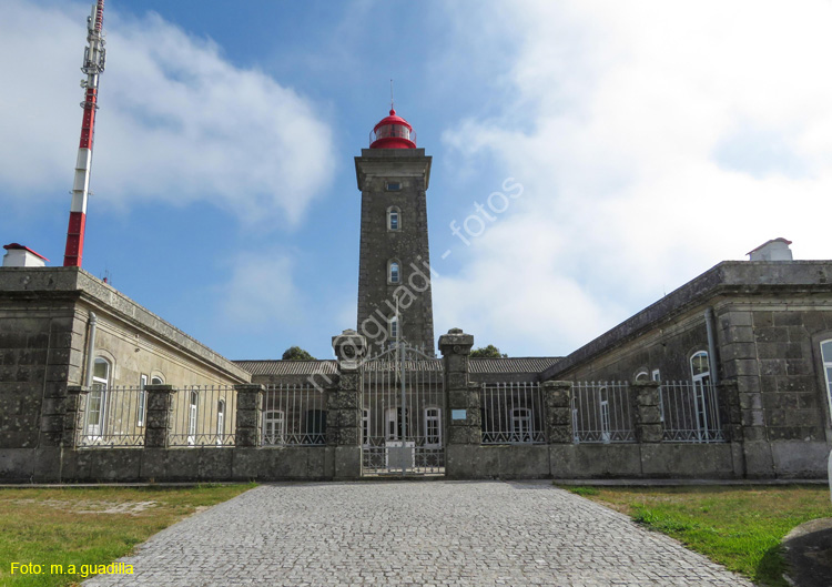 VIANA DO CASTELO (257) MONTEDRO Faro
