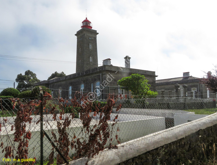 VIANA DO CASTELO (259) MONTEDRO Faro