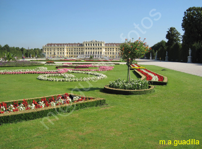 VIENA - Palacio de Schonbrunn 023