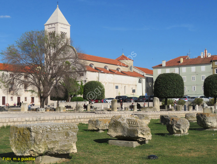 Zadar (120) Foro Romano