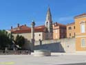 Zadar (122) Foro Romano