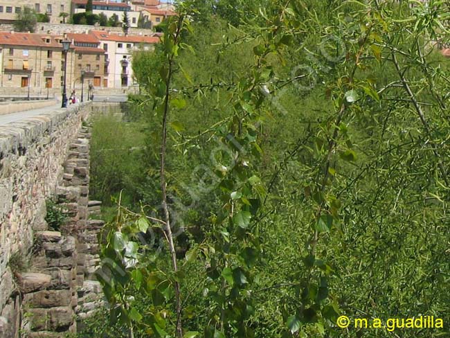 SALAMANCA - Puente Romano 004