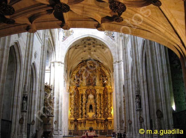 SALAMANCA - Convento e Iglesia de San Esteban 058